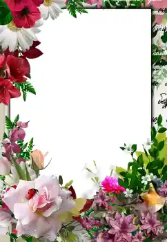Foto effect van de categorie Fotolijsten voor vrouwen № 133076