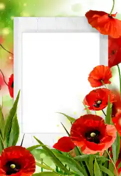 Foto effect van de categorie Fotolijsten voor vrouwen № 133252 Foto effect van de categorie Fotolijsten voor vrouwen № 133252