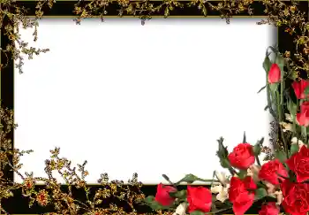 Foto effect van de categorie Fotolijsten voor vrouwen № 13953
