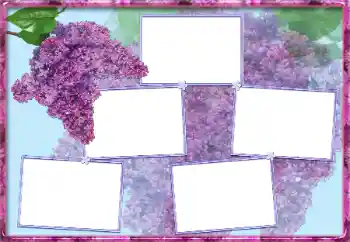 Foto effect van de categorie Fotolijsten voor vrouwen № 13954