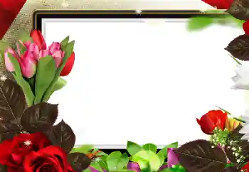 Foto effect van de categorie Fotolijsten voor vrouwen № 139912