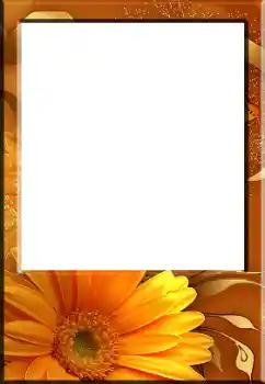 Foto effect van de categorie Fotolijsten voor vrouwen № 141132