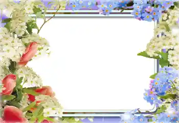 Foto effect van de categorie Fotolijsten voor vrouwen № 141146