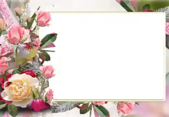 Foto effect van de categorie Fotolijsten voor vrouwen № 141147 Foto effect van de categorie Fotolijsten voor vrouwen № 141147