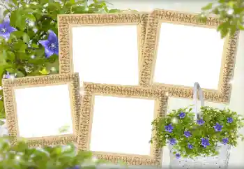 Foto effect van de categorie Fotolijsten voor vrouwen № 143738