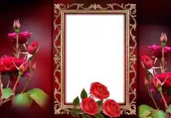 Foto effect van de categorie Fotolijsten voor vrouwen № 143757
