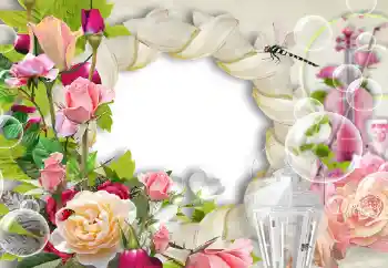 Foto effect van de categorie Fotolijsten voor vrouwen № 144824
