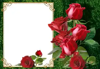 Foto effect van de categorie Fotolijsten voor vrouwen № 145105