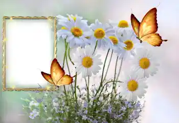 Foto effect van de categorie Fotolijsten voor vrouwen № 145117