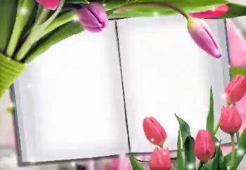 Foto effect van de categorie Fotolijsten voor vrouwen № 145223