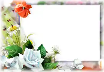 Foto effect van de categorie Fotolijsten voor vrouwen № 147740 Foto effect van de categorie Fotolijsten voor vrouwen № 147740