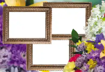Foto effect van de categorie Fotolijsten voor vrouwen № 150537
