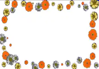 Foto effect van de categorie Fotolijsten voor vrouwen № 150630