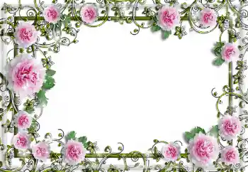 Foto effect van de categorie Fotolijsten voor vrouwen № 150641