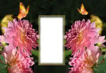 Foto effect van de categorie Fotolijsten voor vrouwen № 150649