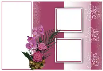 Foto effect van de categorie Fotolijsten voor vrouwen № 154581 Foto effect van de categorie Fotolijsten voor vrouwen № 154581