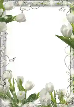 Foto effect van de categorie Fotolijsten voor vrouwen № 155849