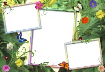 Foto effect van de categorie Fotolijsten voor vrouwen № 155853