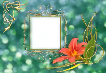 Foto effect van de categorie Fotolijsten voor vrouwen № 155869