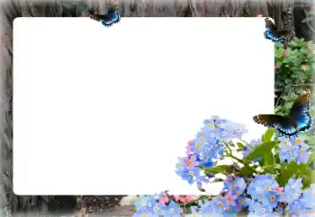 Foto effect van de categorie Fotolijsten voor vrouwen № 155873