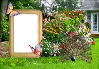 Foto effect van de categorie Fotolijsten voor vrouwen № 155936