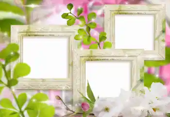 Foto effect van de categorie Fotolijsten voor vrouwen № 155999