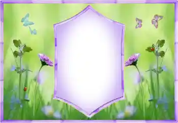 Foto effect van de categorie Fotolijsten voor vrouwen № 156003