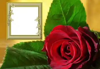 Foto effect van de categorie Fotolijsten voor vrouwen № 157088