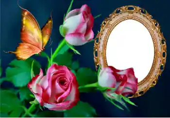 Foto effect van de categorie Fotolijsten voor vrouwen № 157089