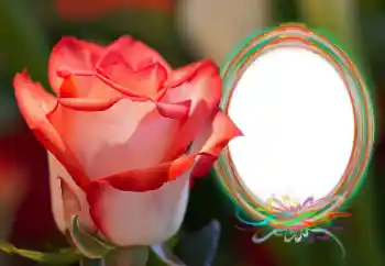 Foto effect van de categorie Fotolijsten voor vrouwen № 157090