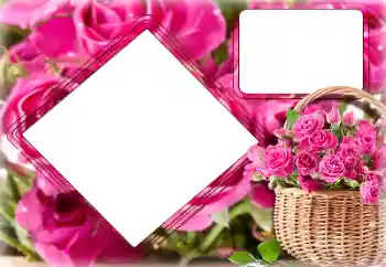 Foto effect van de categorie Fotolijsten voor vrouwen № 157091