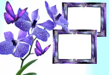 Foto effect van de categorie Fotolijsten voor vrouwen № 157133