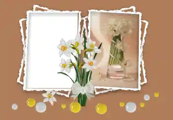 Foto effect van de categorie Fotolijsten voor vrouwen № 158348