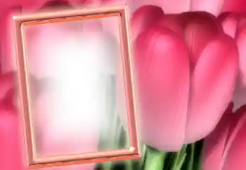 Foto effect van de categorie Fotolijsten voor vrouwen № 15899 Foto effect van de categorie Fotolijsten voor vrouwen № 15899