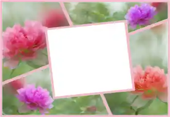 Foto effect van de categorie Fotolijsten voor vrouwen № 160554 Foto effect van de categorie Fotolijsten voor vrouwen № 160554
