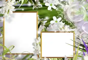 Foto effect van de categorie Fotolijsten voor vrouwen № 160610 Foto effect van de categorie Fotolijsten voor vrouwen № 160610