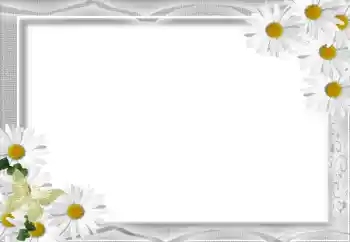 Foto effect van de categorie Fotolijsten voor vrouwen № 16071 Foto effect van de categorie Fotolijsten voor vrouwen № 16071