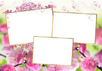 Foto effect van de categorie Fotolijsten voor vrouwen № 160777