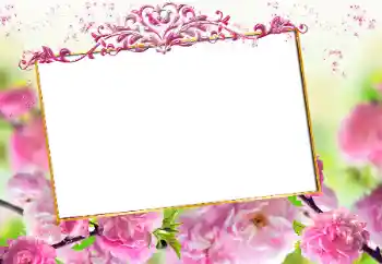Foto effect van de categorie Fotolijsten voor vrouwen № 163327