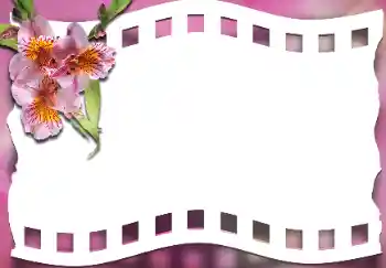Foto effect van de categorie Fotolijsten voor vrouwen № 163337
