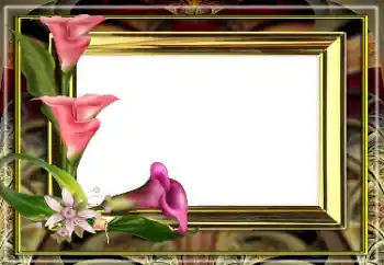Foto effect van de categorie Fotolijsten voor vrouwen № 163528