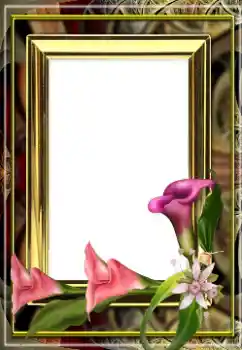 Foto effect van de categorie Fotolijsten voor vrouwen № 163529