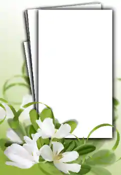 Foto effect van de categorie Fotolijsten voor vrouwen № 163548