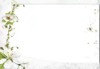 Foto effect van de categorie Fotolijsten voor vrouwen № 163602