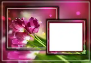 Foto effect van de categorie Fotolijsten voor vrouwen № 164601