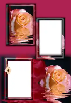 Foto effect van de categorie Fotolijsten voor vrouwen № 164787