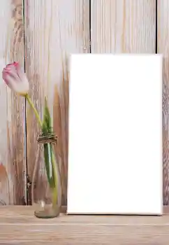 Foto effect van de categorie Fotolijsten voor vrouwen № 165992 Foto effect van de categorie Fotolijsten voor vrouwen № 165992