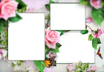 Foto effect van de categorie Fotolijsten voor vrouwen № 166108 Foto effect van de categorie Fotolijsten voor vrouwen № 166108