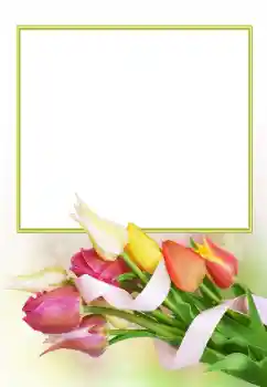 Foto effect van de categorie Fotolijsten voor vrouwen № 166153 Foto effect van de categorie Fotolijsten voor vrouwen № 166153