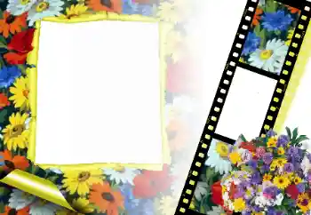 Foto effect van de categorie Fotolijsten voor vrouwen № 166315
